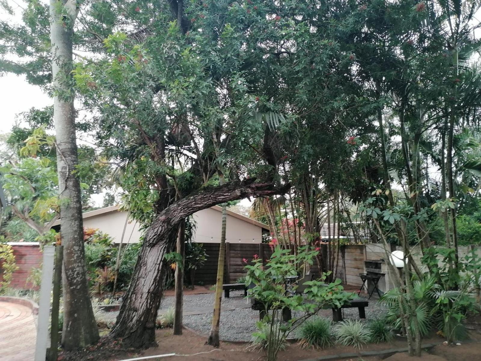 Nqabanqaba Panzió Richards Bay Kültér fotó